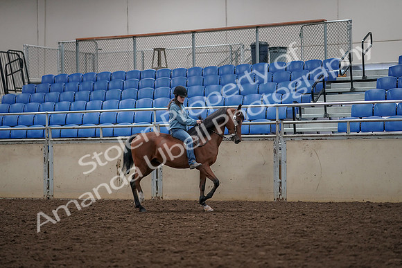 2019 Morgan Horse Show - Aug 30, 2019 - 31339