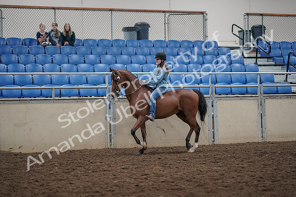 2019 Morgan Horse Show - Aug 30, 2019 - 31099