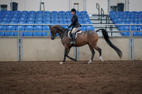 2019 Morgan Horse Show - Sept 01, 2019 - 08518