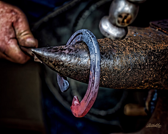 Farrier - 017