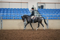 2019 Morgan Horse Show - Aug 30, 2019 - 23111