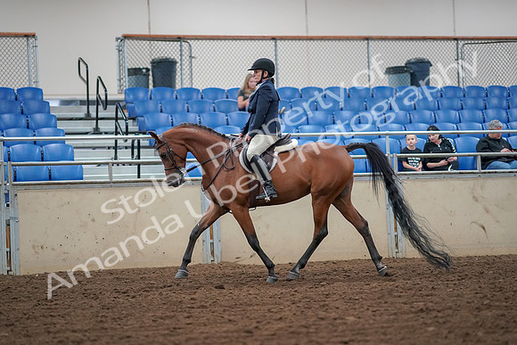 2019 Morgan Horse Show - Aug 30, 2019 - 16094
