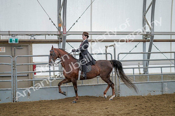 July 20, 2019 - 14377
