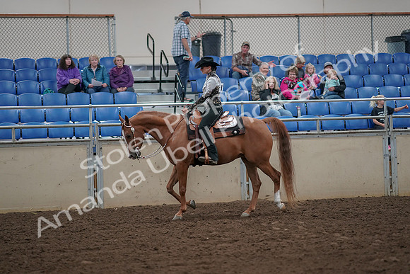 2019 Morgan Horse Show - Aug 30, 2019 - 25862