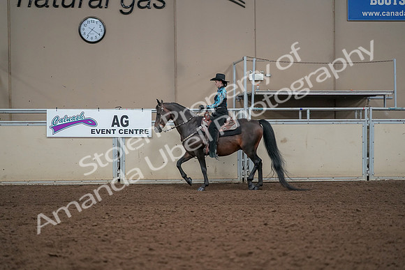 2019 Morgan Horse Show - Aug 30, 2019 - 25977
