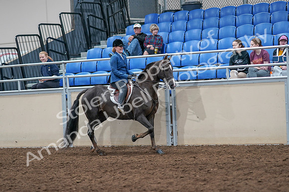 2020 - AB Morgan Horse - Sat, Sept 05 - 05203