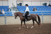 2019 Morgan Horse Show - Aug 31, 2019 - 14118