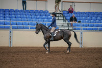 2020 - AB Morgan Horse - Sat, Sept 05 - 01173