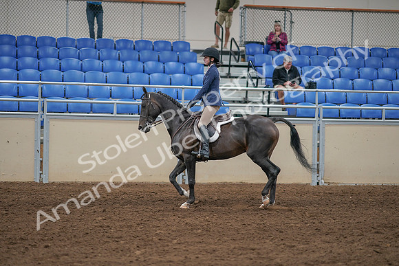 2020 - AB Morgan Horse - Sat, Sept 05 - 01173