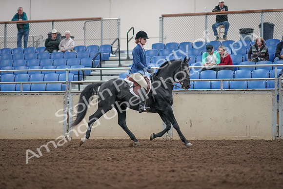 2019 Morgan Horse Show - Aug 31, 2019 - 07393