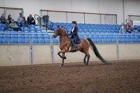 2019 Morgan Horse Show - Aug 31, 2019 - 19913