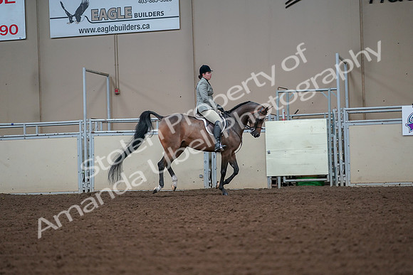 2019 Morgan Horse Show - Aug 30, 2019 - 17514