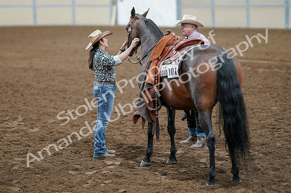2020 - AB Morgan Horse - Fri, Sept 04 - 00658