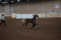 2019 Morgan Horse Show - Aug 31, 2019 - 00198
