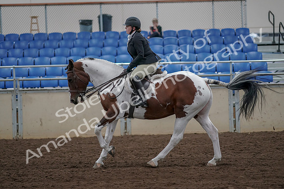 2019 Morgan Horse Show - Aug 30, 2019 - 14961