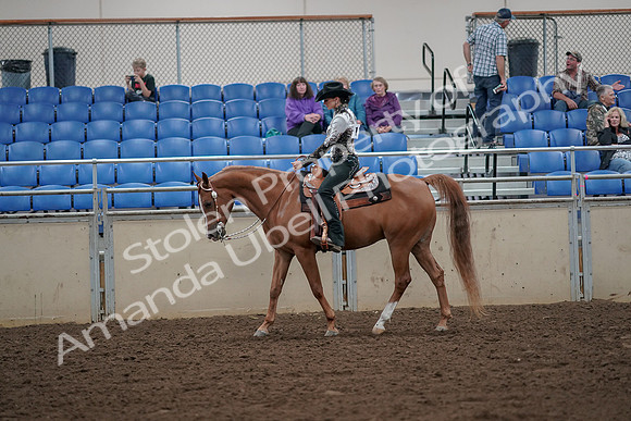 2019 Morgan Horse Show - Aug 30, 2019 - 25884