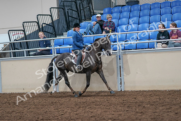 2020 - AB Morgan Horse - Sat, Sept 05 - 05201