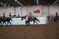 2019 Morgan Horse Show - Aug 31, 2019 - 18893