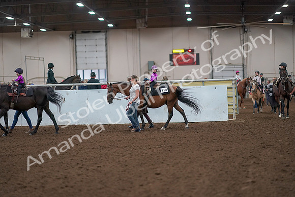2019 Morgan Horse Show - Aug 31, 2019 - 18893