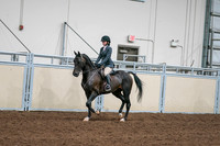 2020 - AB Morgan Horse - Sat, Sept 05 - 09056