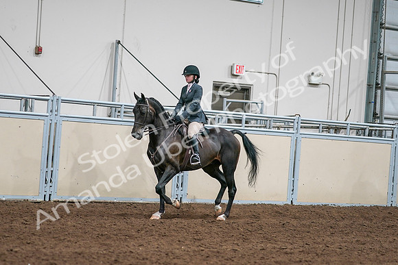 2020 - AB Morgan Horse - Sat, Sept 05 - 09056