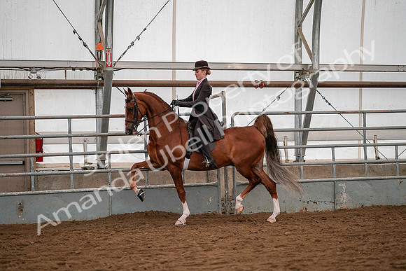 July 19, 2019 - 10341