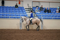 2020 - AB Morgan Horse - Fri, Sept 04 - 10343