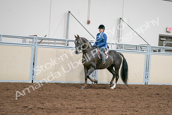 2020 - AB Morgan Horse - Sat, Sept 05 - 04993
