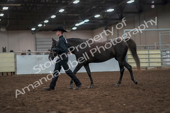 2019 Morgan Horse Show - Aug 31, 2019 - 02034