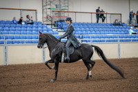 2020 - AB Morgan Horse - Fri, Sept 04 - 05328