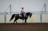 2020 - AB Morgan Horse - Fri, Sept 04 - 00551