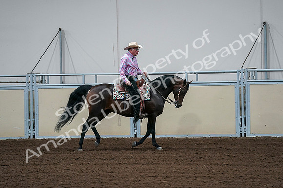 2020 - AB Morgan Horse - Fri, Sept 04 - 00551