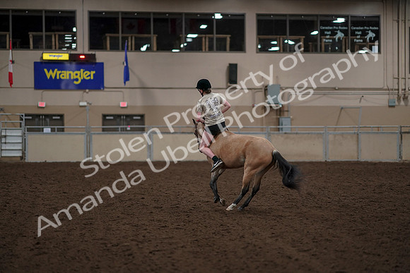 2019 Morgan Horse Show - Aug 30, 2019 - 31266