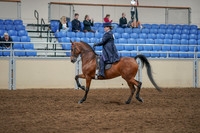 2020 - AB Morgan Horse - Sat, Sept 05 - 09702
