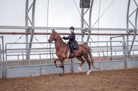Class 075 - All Breed English Pleasure - Junior Exhibitor