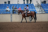2019 Morgan Horse Show - Sept 01, 2019 - 06778