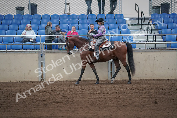 2019 Morgan Horse Show - Sept 01, 2019 - 06778