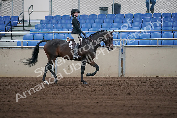 2019 Morgan Horse Show - Sept 01, 2019 - 03941