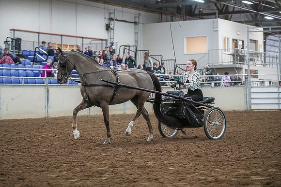 Spring Fling - Saturday - April 20, 2019  -  00214