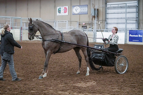 Spring Fling - Saturday - April 20, 2019  -  00307