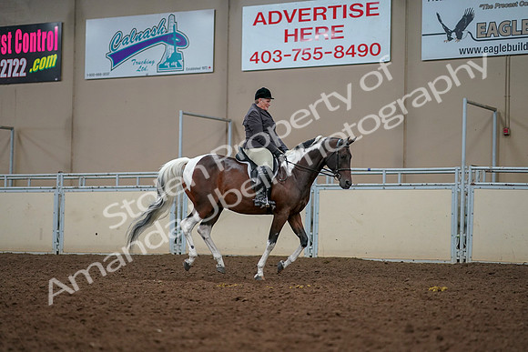2019 Morgan Horse Show - Aug 30, 2019 - 22502