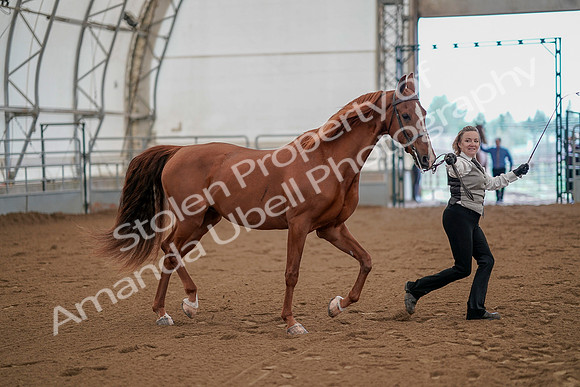 July 19, 2019 - 879