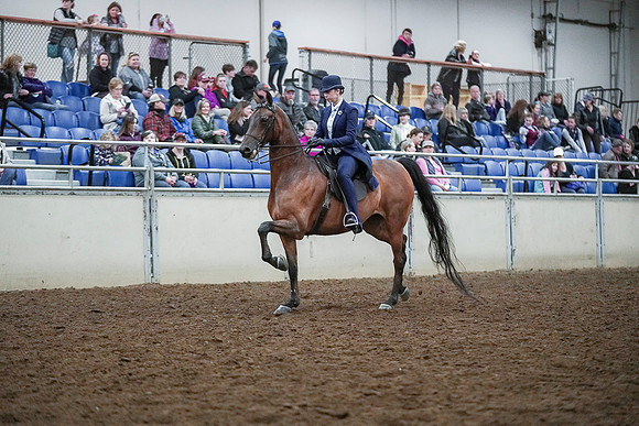 Spring Fling - Saturday - April 20, 2019  -  00658