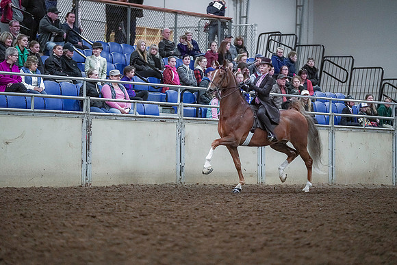 Spring Fling - Saturday - April 20, 2019  -  00464