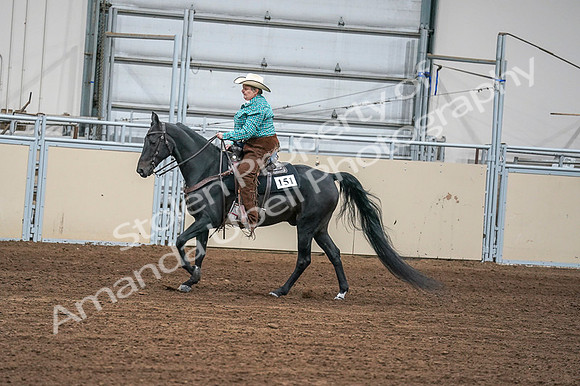 2020 - AB Morgan Horse - Fri, Sept 04 - 00597