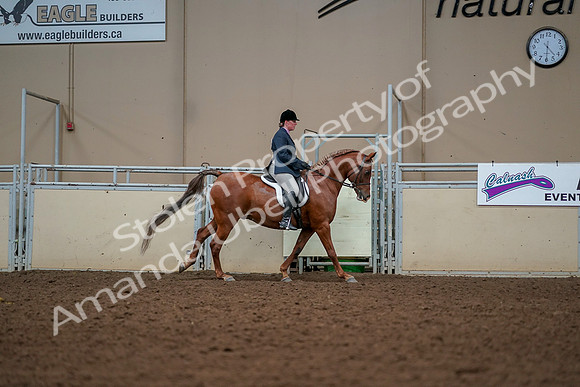 2019 Morgan Horse Show - Aug 30, 2019 - 22556