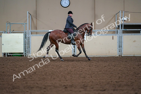 2019 Morgan Horse Show - Aug 30, 2019 - 20705
