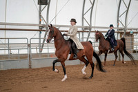 Class 056 - ASB English Country Pleasure - Open