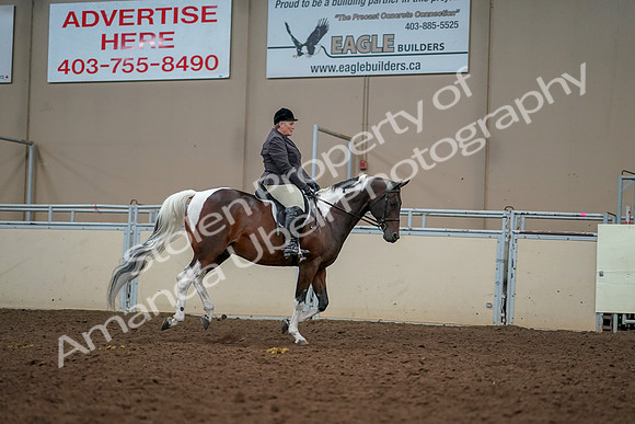 2019 Morgan Horse Show - Aug 30, 2019 - 22512