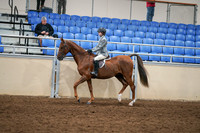 2020 - AB Morgan Horse - Fri, Sept 04 - 02963